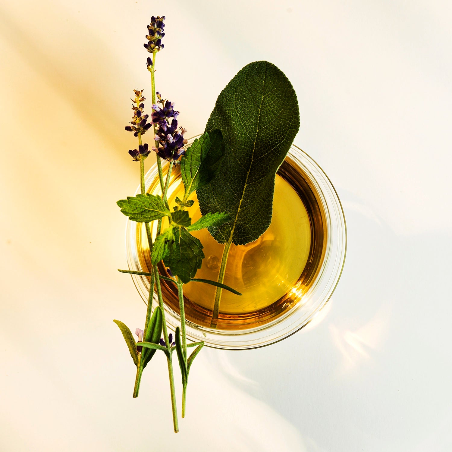 Liquide jaune dans un verre avec des herbes et de la lavande sur le dessus.